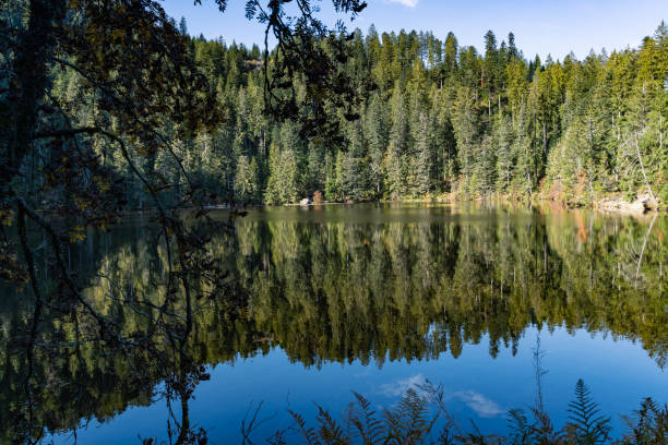 istock Panoramic shot of a lake surrounded by greenery in Glaswaldsee, Black Forest, Germany 1286078307