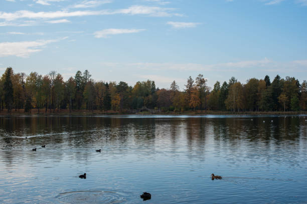 istock sunny day on the lake 1286078651
