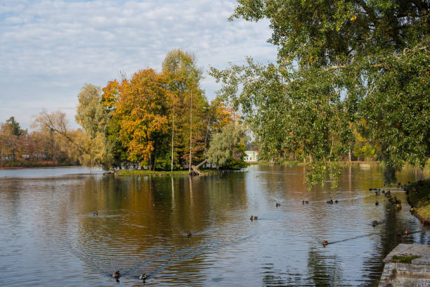 istock sunny day on the lake 1286078788