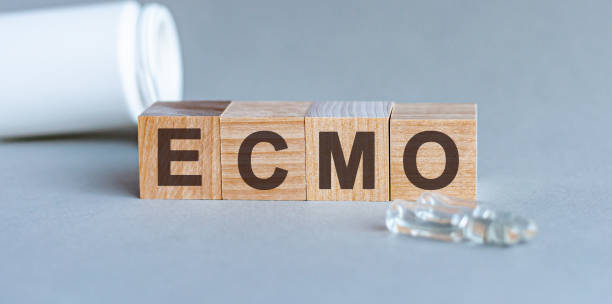 ecmo is a word written in black letters on wooden cubes. - single word love wood typescript imagens e fotografias de stock