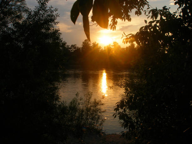 belo reflexo do pôr do sol do outono da árvore na água. paisagem natural do nascer do sol.   silhuetas pretas de árvores - 11194 - fotografias e filmes do acervo