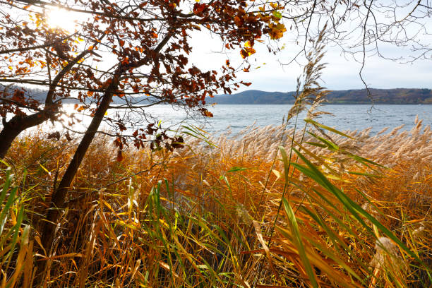 Laacher See in the Volcanic Eifel between Koblenz and Bonn.