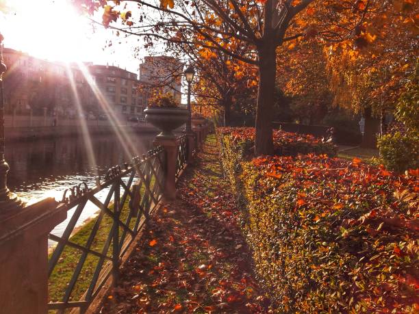 istock city ​​in autumn 1286086119