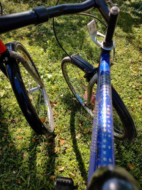 istock Two bicycle standing on the grass in a park, alternative commute 1286091526