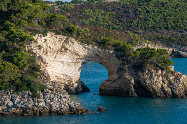 istock Breathtaking Coast and Cliffs near Vieste, Italy 1286094034