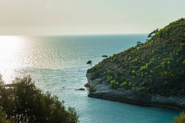 istock Breathtaking Coast and Cliffs near Vieste, Italy 1286094178