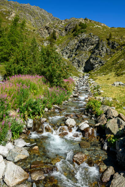 Creek in the mountains in Vorarlberg, the most western part of Austria.