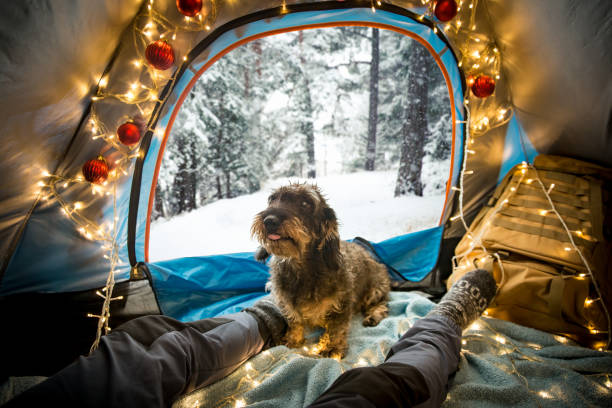 istock A man lying in a tent decorated with Christmas lights 1286107796