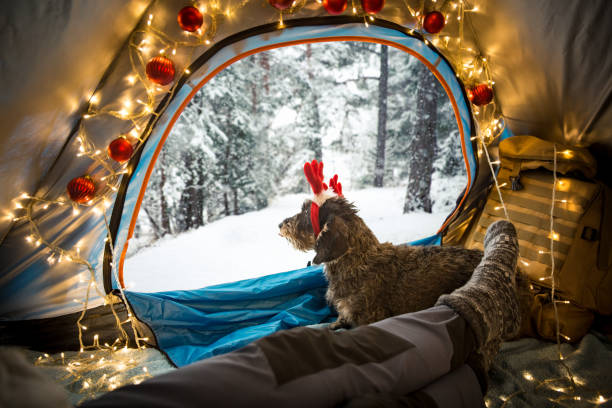 istock A man lying in a tent decorated with Christmas lights 1286107822