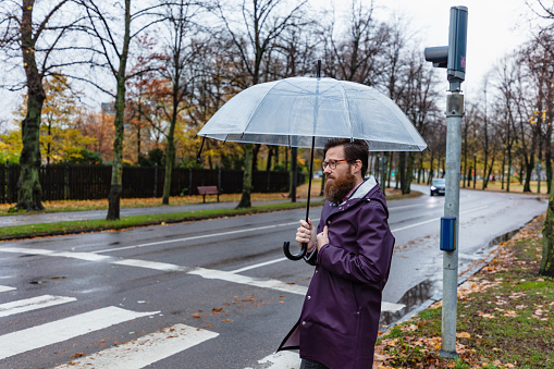 A man in a raincoat standing by a zebra crossing during autumn while holding an umbrella. It's rainy and windy.