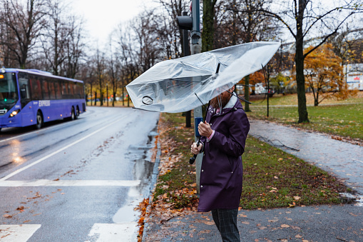 A man in a raincoat standing by a zebra crossing during autumn while holding an umbrella. It is very windy so his umbrella is breaking.
