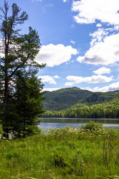 istock Cloudy landscape at Lake Tagasuk. Russia 1286111193