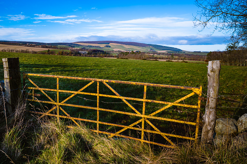 Rolling countryside outside the village of Insch in Aberdeenshire, Scotland. The rounded hill on the skyline is the Hill of Foudland.