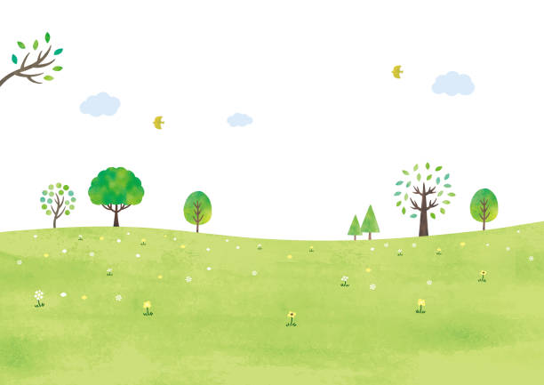 łąka i drzewa akwarela - drzewo ilustracje stock illustrations