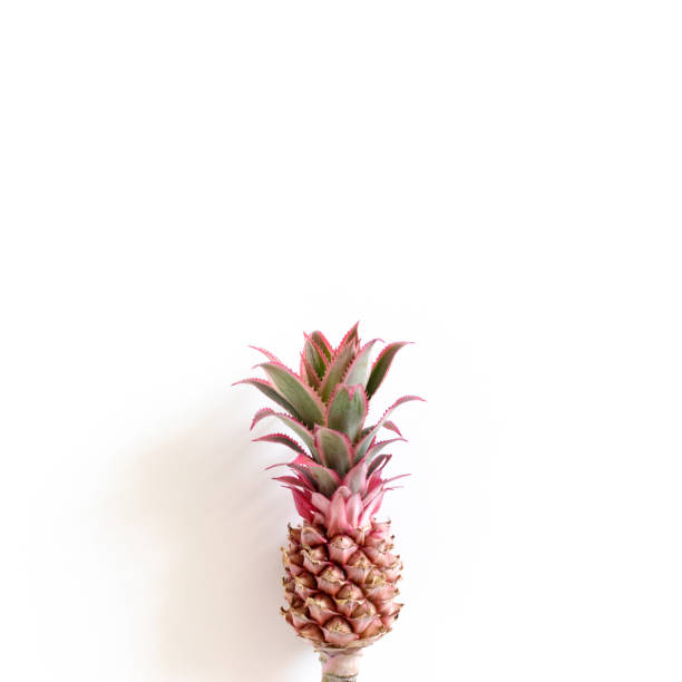 istock Little decorative pink pineapple with copy space 1286114147