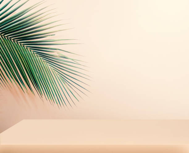 istock Empty template of podium, background for product presentation, palm leaf in the background 1286118438