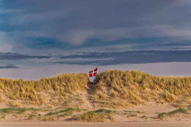 istock Danish flag waving behind dunes on Blaavand Beach, Denmark 1286118985