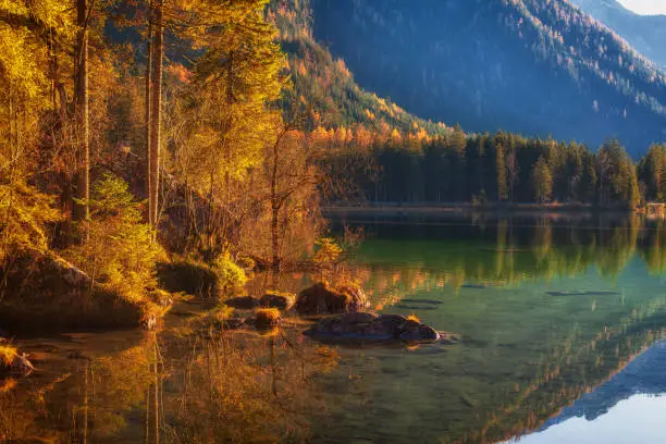 Romantic autumn at Hintersee, a district of the municipality of Ramsau near Berchtesgaden.