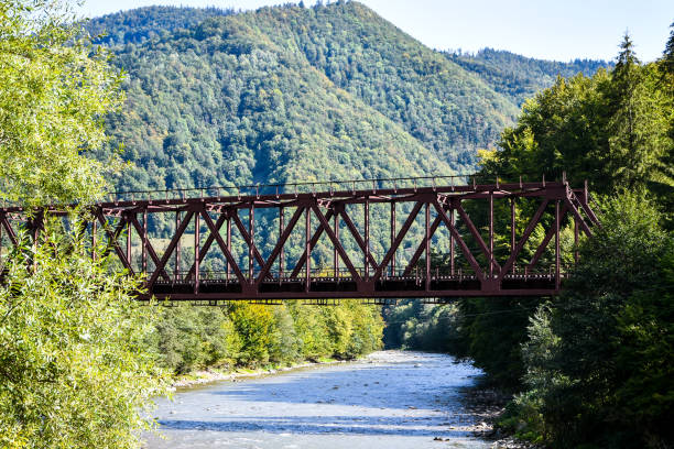 istock Railway bridge. Railroad tunnel with red rusty bars. Abandoned Rail Bridge 1286122009