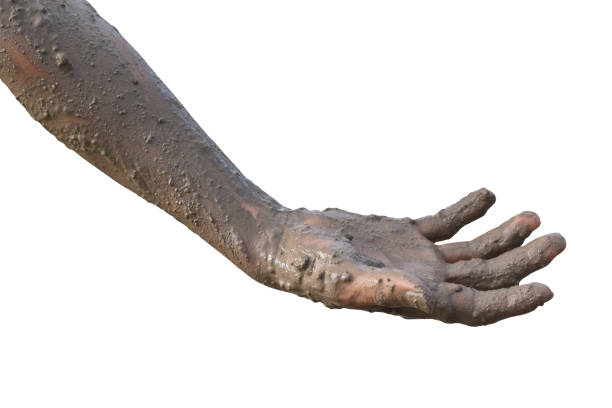 istock Hand covered with mud isolated on white background with clipping path. 1286128481
