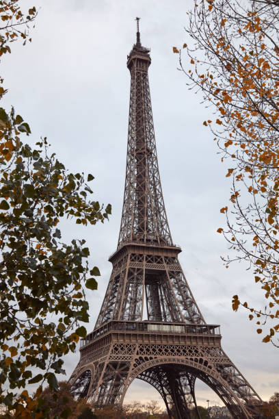 istock Eiffel tower with autumn leafs, Paris, France. 1286132016