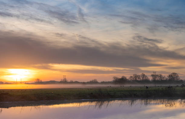 River Great Ouse at sunrise Sunrise over the Great Ouse River at Huntingdon, Cambridgeshire, England, UK. There is mist on the fields in the background with sheep grazing in the early morning light. cambridgeshire stock pictures, royalty-free photos & images