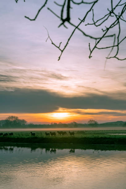 istock River Great Ouse at sunrise 1286135036