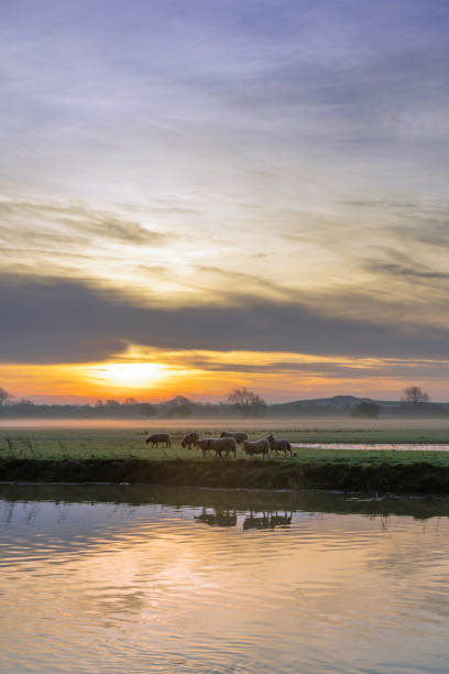 istock River Great Ouse at sunrise 1286135133