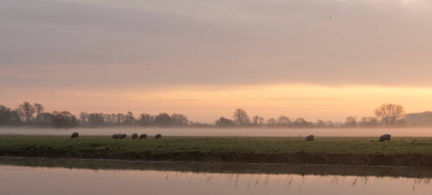 istock River Great Ouse at sunrise 1286135220