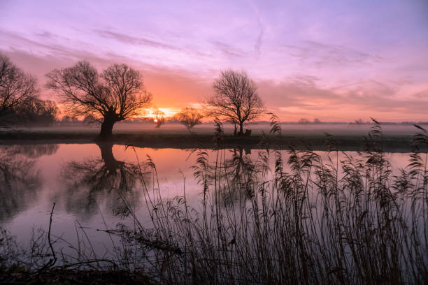 istock River Great Ouse at sunrise 1286135865