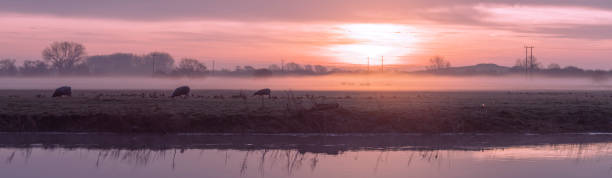istock River Great Ouse at sunrise 1286135870