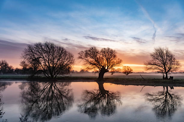 日の出の大河大おおう - silhouette sunrise non urban scene england ストックフォトと画像