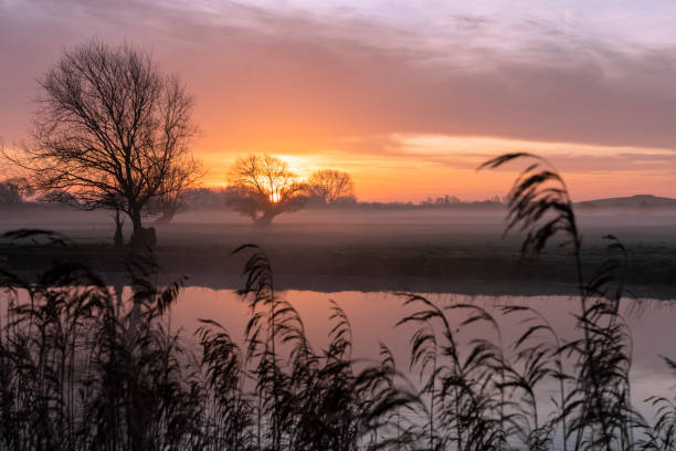 istock River Great Ouse at sunrise 1286135973