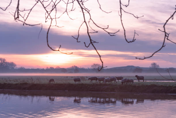 istock River Great Ouse at sunrise 1286136039