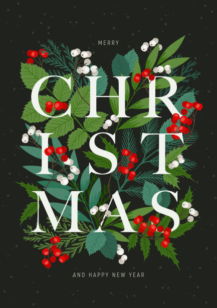 世界クリスマスとの休日フレーム。ヒイラギとローワンベリー、モミと松の枝、冬の葉や植物とベクトルの幻想的。クリスマスと明けましておめでとうございます - holly frame christmas picture frame点のイラスト素材／クリップアート素材／マンガ素材／アイコン素材