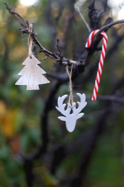 istock Christmas Ornaments 1286137398