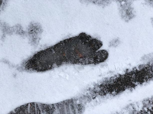istock Bare foot trail in the snow 1286137736