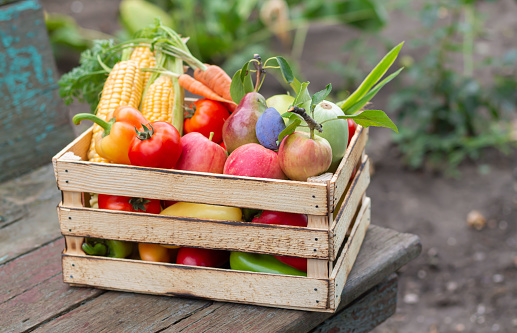 Wooden crate of organic farm vegetables and fruit on rustic table outdoor. Eco food concept