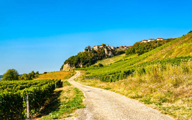 Chateau-Chalon village above its vineyards in Jura, France Chateau-Chalon village above its vineyards in Franche-Comte, France jura france stock pictures, royalty-free photos & images