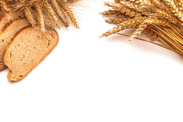 istock Rustic bread. Fresh loaf of rustic traditional bread with wheat grain ear or spike plant isolated on white background. Rye bakery with crusty loaves and crumbs. Concept - Cooking at Home. 1286143406