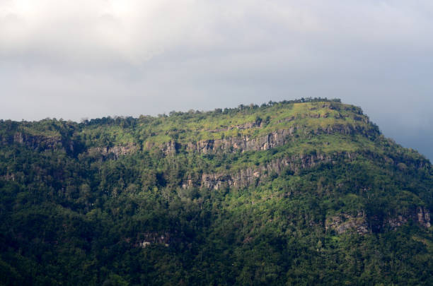 istock The mountain landscape .Natural background forest outdoor 1286144464