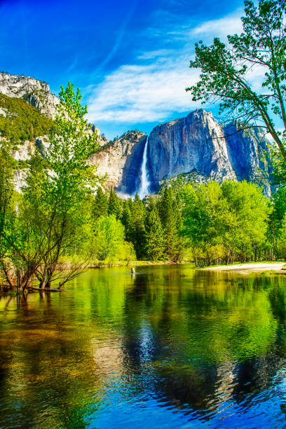 Yosemite Falls from Valley refelcted in Stream Yosemite Falls from Valley refelcted in Stream yosemite falls stock pictures, royalty-free photos & images