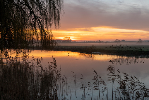 Sunrise over the Great Ouse River at Huntingdon, Cambridgeshire, England, UK. There is mist on the fields in the background.