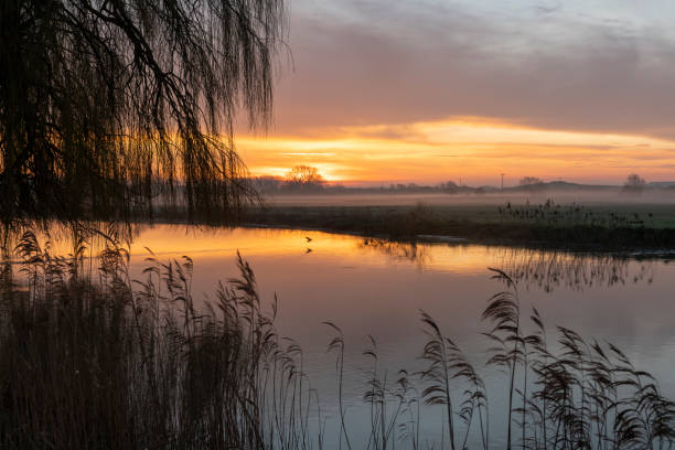 river great ouse at sunrise - fog tree purple winter imagens e fotografias de stock