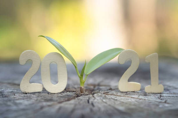 Wood block 2021 and  small plant tree. Wood block 2021 and  small plant tree. environment concept. Earth Day. nature calendar stock pictures, royalty-free photos & images