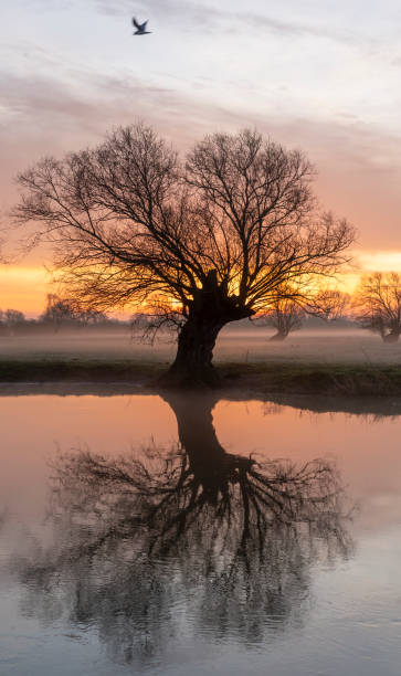 istock River Great Ouse at sunrise 1286146115