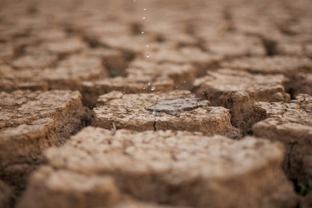 istock Climate change, water drop on dry cracked earth at river 1286152462