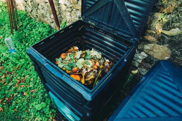 Compost bin with organic waste in the garden next to the stone wall. Organic farming and healthy lifestyle concept