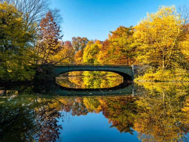 istock Autumn in New York 1286155721