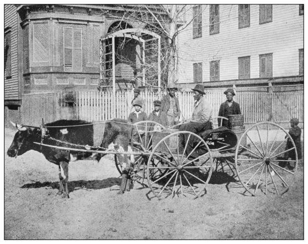 Antique black and white photo of the United States: Man with his carriage Antique black and white photo of the United States: Man with his carriage african american culture photos stock illustrations